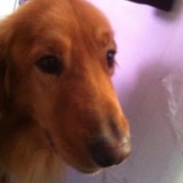 D 352e0b31 f806 4dae b0e0 a53b02c8f193