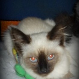 D 395804f7 2421 4a9a 80cf 3e0fb8d67541