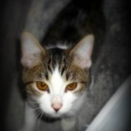 D e818dd22 0861 45e8 8168 28d88daad46c