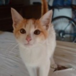 D bee34341 7dd6 43fd 98ad 86a7ca8ba964