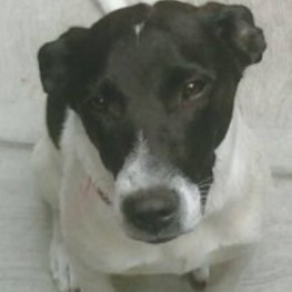 D 7d3b67f2 38ea 42da bafd 2c91a83b9273