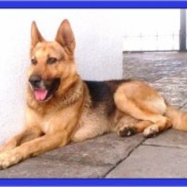 D e08961c7 1e15 4a2a 8e9f a9dad0dfeb96