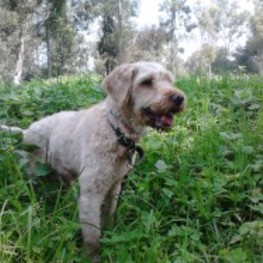 D 44e66ecc 86f3 4f9c be7b a50074569d2f