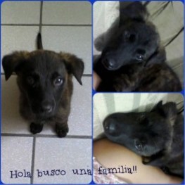 D 760bd3fc 924e 48e2 9e7e de459c8639f2