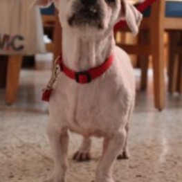 D fdf515d6 a934 4c94 8186 7d42fdf536d2