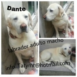 D a8337c47 043f 4968 8f87 952392cb5d0d