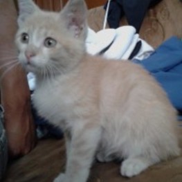 D b6c7a7c2 3a58 4d75 ab34 dfb17e5cfeea