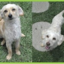 D 922375da 9f23 4a98 a1ab 3a01fef15605