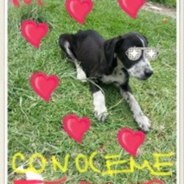 D ab146523 7148 4ee6 921e f23cd7fda2e1