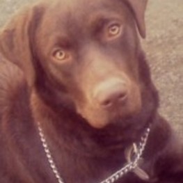 D a70a9ab7 033e 4b27 9fc0 18f23a9ff415