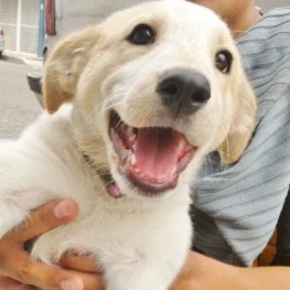 D da34f842 f13c 4934 a9fa 360b117c63b8