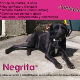 D d850a0d4 11d2 42d4 879d 126fbba657e3