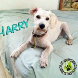 D e9107995 a3bc 4cda b759 94ee76bae385