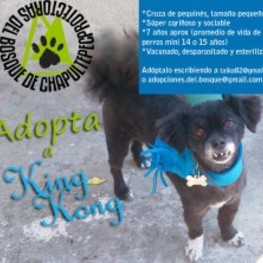 D 727d7931 2c48 4b22 820f 457df60ea8e4