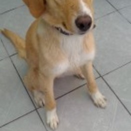 D 08faf3cb c485 40fd ad81 bc96950ae699