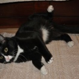 D 3e9c11f7 ce22 4db6 a3d8 a316c12b22b4