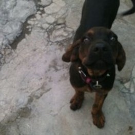 D cbc64967 84f2 4301 8eaa e1322d84d328