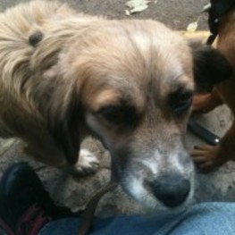 D 5c918655 5193 4420 9efc 7fc4b7064151