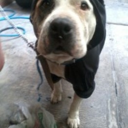 D b93cc208 b9d4 48f0 b35a 2f33d8398f52