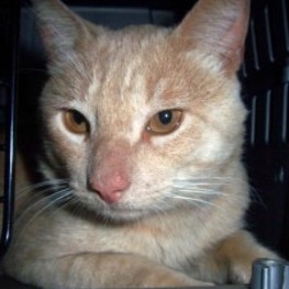 D b16b1774 d8c7 4d27 9bc3 d2f17274dea1