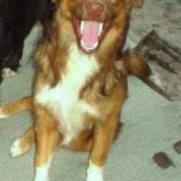 D 1b7e11ea 079f 449e a658 f21461db98ef