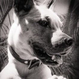 D 984f7e55 17e5 4665 8810 aa53a89f88fd