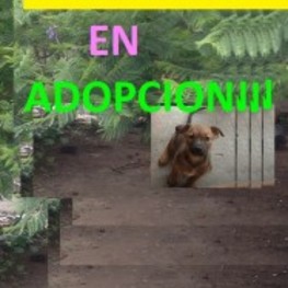 D 66f011ae 6b89 48bd 879f ff1ff1bda299