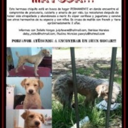 D 895503b3 4f0a 4d2c 9871 267265f5415d