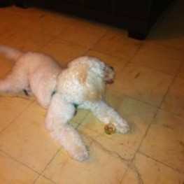 D 9e087b19 a4ef 4d5d b583 c4eba0b0c058