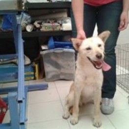 D 793ff6fc bfe8 4167 b958 e7469f5853a8