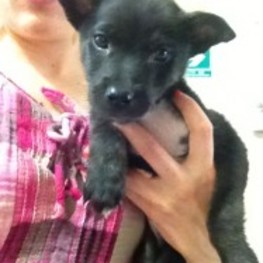 D d029a5d2 c713 44e3 91be 7ab3e6b95a22