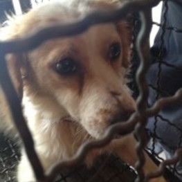 D c604ae51 e350 4a11 ae74 918f3e02a697