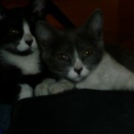 D c7306224 2c29 4968 ac15 5aae8f1fd438