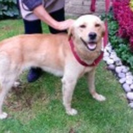 D 0d2187a1 4f45 43e8 ad16 5e516c65f799