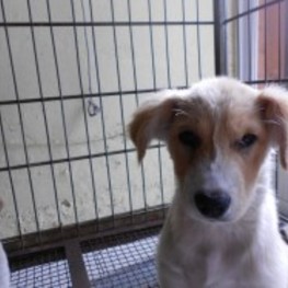 D c24515ab ab2e 4752 b9d9 6b4a2a942c7b