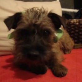 D db557410 87da 49e8 a067 3ab751065728