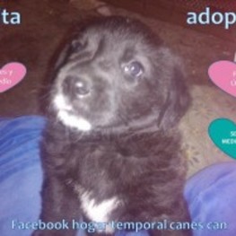 D d1b080d5 0a71 4a9e 9b3f 8eb026c1a0a4