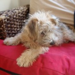 D 2220ee56 4f10 480d 83c7 5b918f844c9d