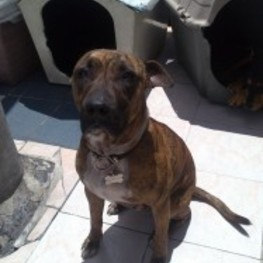 D 93cfd644 0378 4bc5 b6ac 9b5d6ff0c9be