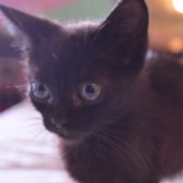 D f313f768 2420 4ee8 af71 6c90b56a1853