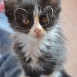 D daf8013a df1a 4f67 beb0 fd7f1e8f0efc