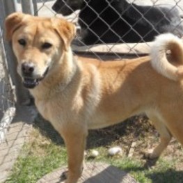 D 027af035 18e3 4a90 a82a e1eed651e10a