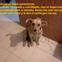 D 6526c315 d9f9 4344 952b dc76c65a3a31