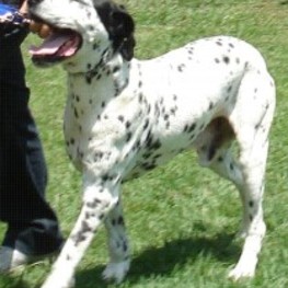 D 9b1fe0cc 20d2 4738 8d54 0789c75ef7b1