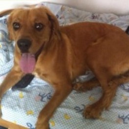 D 51859b62 cc0d 4c0e 9ed4 353720476d99