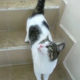 D e183c5c0 ed2b 4d2f a2b9 2475e4162c77