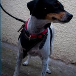 D 7199261b e4f6 45b7 be3a 83e53b2592aa