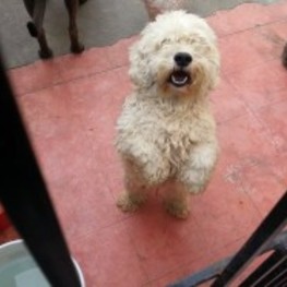 D e004b1f8 5853 40c7 8396 49d27bb8d833