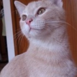 D 4e687fc4 56a7 4b74 8f48 398c1323b200