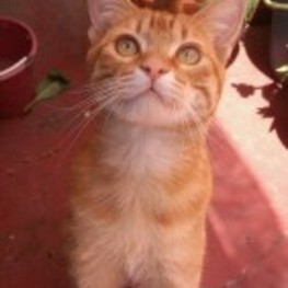 D b8d90daf 007f 4672 91ae b63e8f1c4593